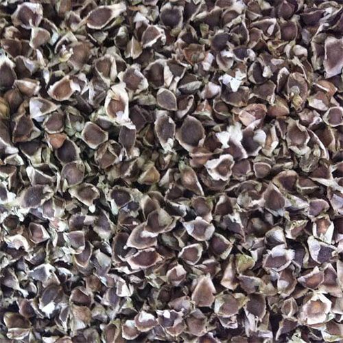 Hạt chùm ngây hat-chum-ngay-105