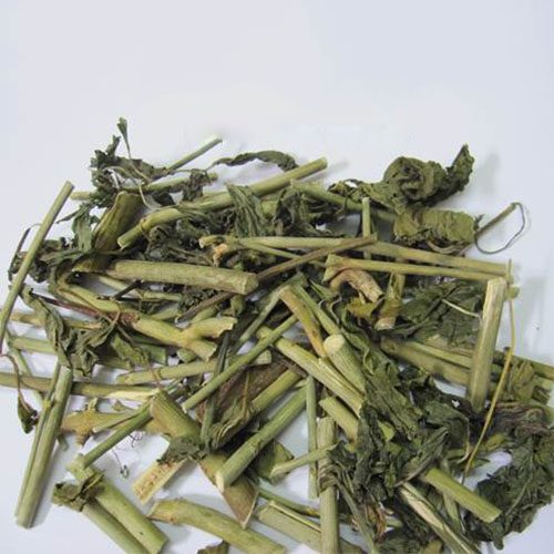 Cây Bìm bịp khô cay-bim-bip-kho-125