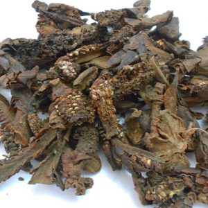 nam-ngoc-cau-kho