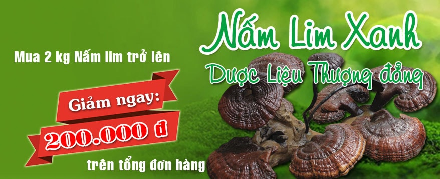 giam-gia-nam-lim-xanh-97-min