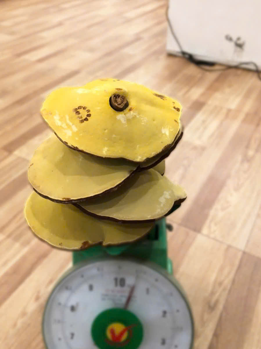 z6095884123780_c1bfcd098e80a3b0d0ca6a439815f070 z6095884123780_c1bfcd098e80a3b0d0ca6a439815f070