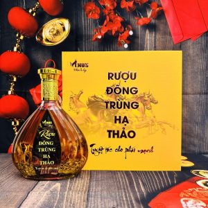 Hộp Quà Rượu Đông Trùng Hạ Thảo Venus 500ml